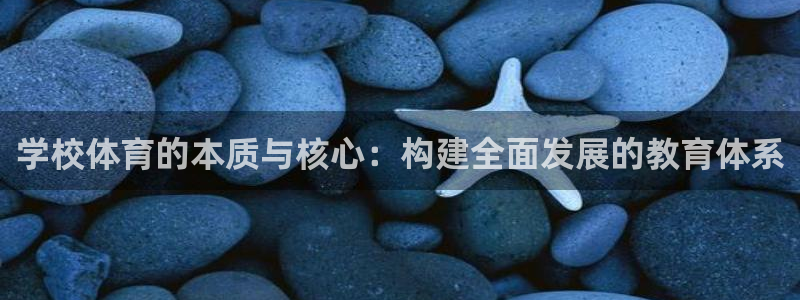 学校体育的本质与核心：构建全面发展的教育体系